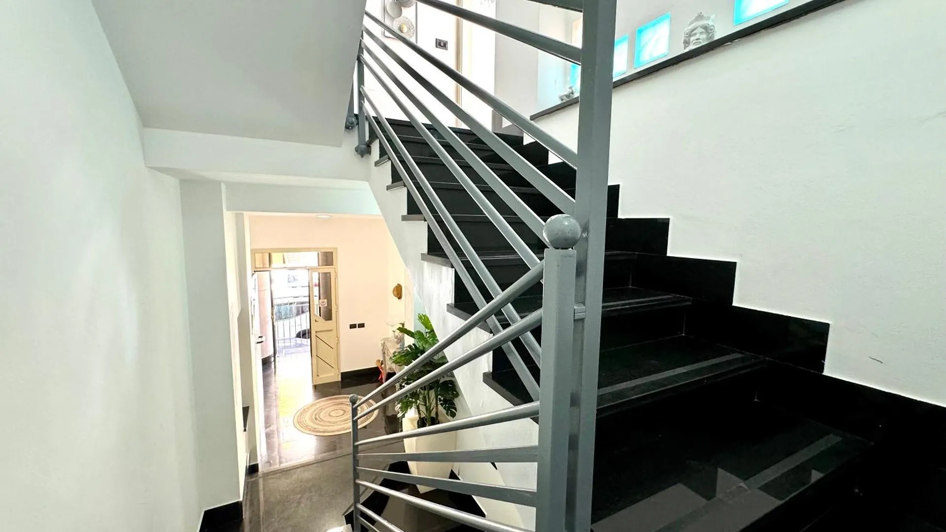 B&B Blue 泰拉西尼
